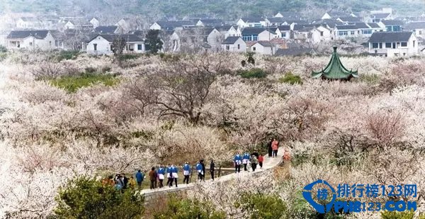 国内十大赏梅胜地插图3