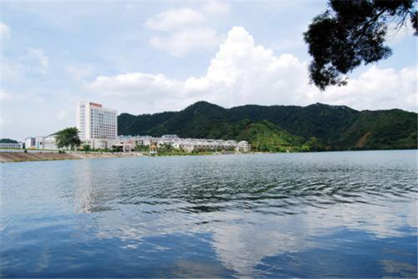 阳江十大公园广场排名:名树公园上榜,第2有网红花海插图4 阳江十大公园广场排名:名树公园上榜,第2有网红花海插图4