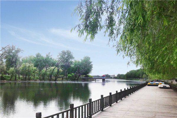 天津适合一日游的景点推荐 北塘古镇 西开教堂不能错过插图5