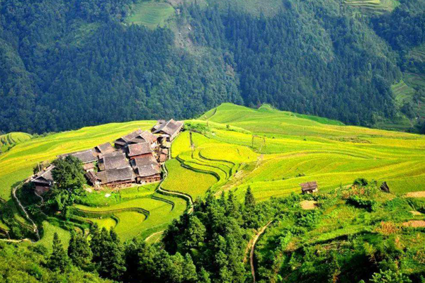 全球十大最美梯田排名：江西江岭梯田第一(中国7地入榜)插图4