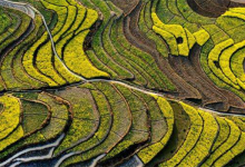 安康十大风景名胜排行榜：香溪洞上榜，第十有梯田|爱分享