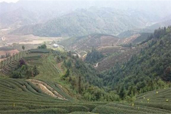 漳州十大美丽乡村 漳州最美村落有哪些插图8