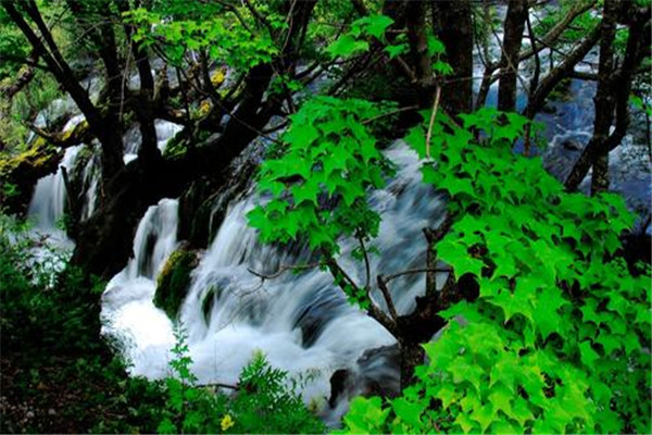 东莞十大公园广场排名:虎门公园上榜，第7大朗镇最大公园插图8