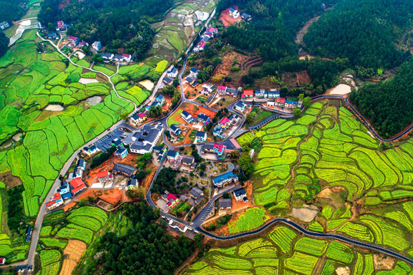 江西省十大休闲小镇 海会镇上榜，第一被称负离子氧吧插图4