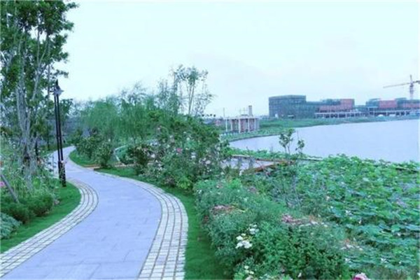 茂名十大公园广场排名：潘州公园上榜，第4以稻田为主题插图6