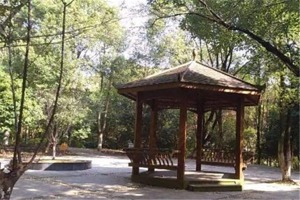 鹰潭最好玩的地方推荐 鹰潭好玩的地方排行榜插图7