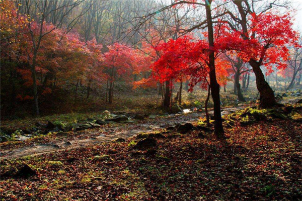 济南十大最受欢迎景点：千佛山上榜，它是天气第一泉插图5