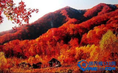 国内十大赏枫胜地排行榜插图3