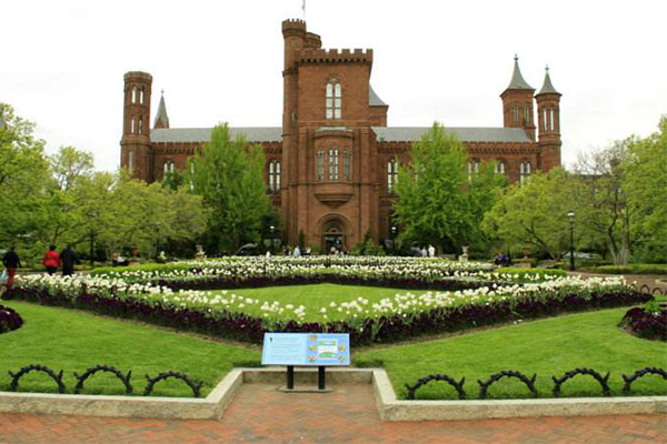 世界十大城市公园：东京的上野公园这个季节去刚刚好！插图1