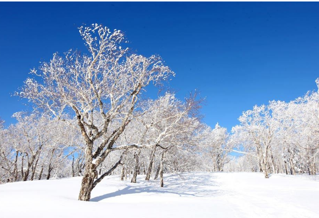 中国十大风光摄影圣地 摄影爱好者必去的摄影地插图5