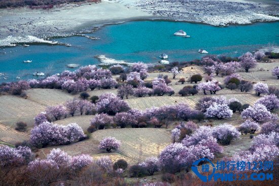 盘点国内冬季赏雪十大旅游地插图
