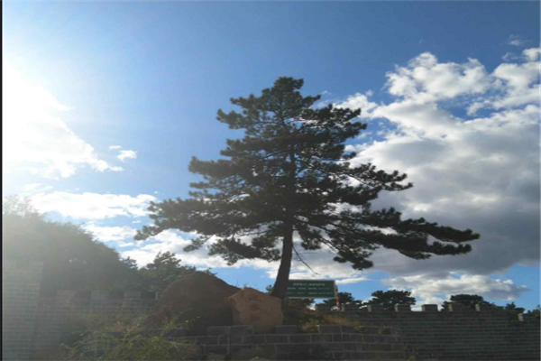 丹东景点排行榜前十：鸭绿江风景名胜区上榜，五龙山第一插图