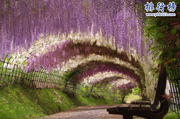 全球最美10个旅游胜地：世界上最美的地方在哪里插图6