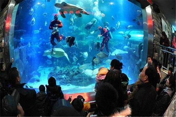 长沙十大最受好评景点 岳麓山排第一，最后一名是植物园插图7