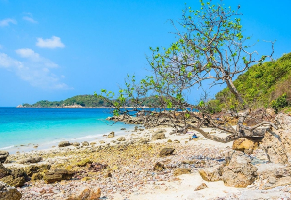泰国必玩的十大景点，其中的一些地方有你意想不到的新奇插图