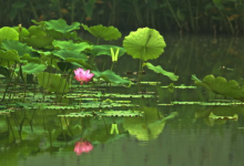 成都十大网红景点：锦里上榜，它是杜甫故居|爱分享