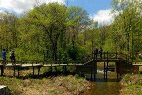 黑龙江十大爬山好去处:每一处都超美 有古木参天也有小溪潺潺插图5