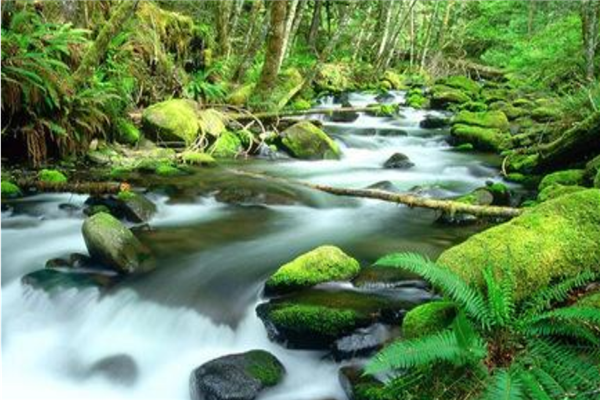 澳大利亚十大名胜古迹 克雷德尔山上榜昆士兰州费沙岛很特别插图1