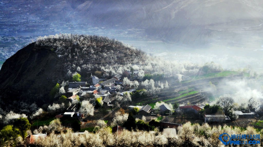 盘点2016中国最佳赏花十大圣地插图3