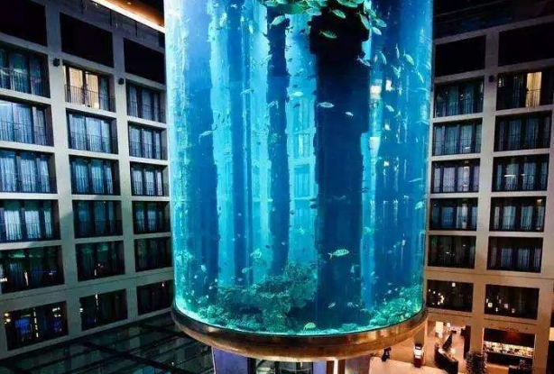 全球海洋馆排名 带你感受独特的海底世界插图8 全球海洋馆排名 带你感受独特的海底世界插图8