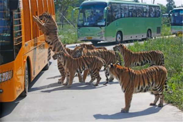 带孩子上海必玩的地方 你带小宝贝去过吗插图5