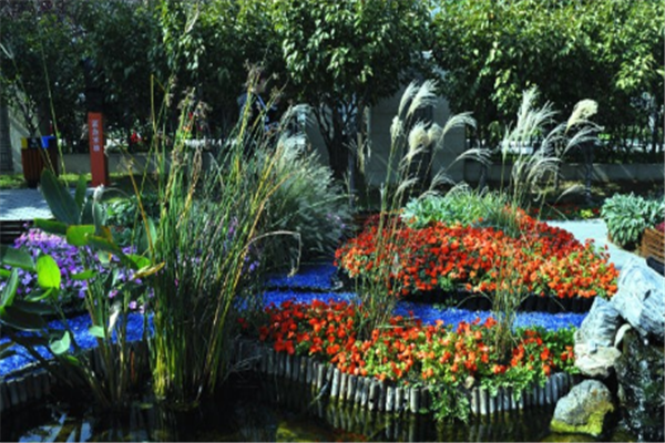 世界十大植物博物馆：纽约植物园上榜，它珍藏植物标本最多插图5