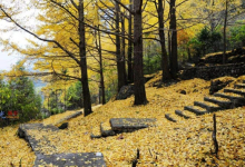 武汉周边6个最美古镇 武汉周边古镇旅游推荐|爱分享