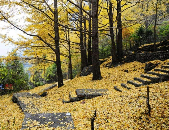 武汉周边6个最美古镇 武汉周边古镇旅游推荐插图6