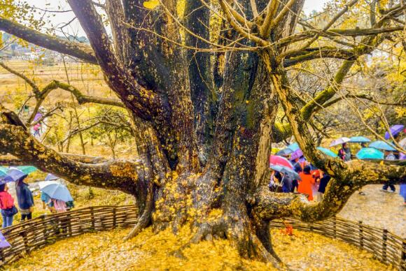 韶关好玩的地方排行榜 韶关十大最好玩的地方推荐插图2