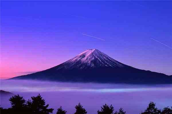 世界上最漂亮的十大景点 故宫是皇家宫殿普罗旺斯薰衣草出名插图5