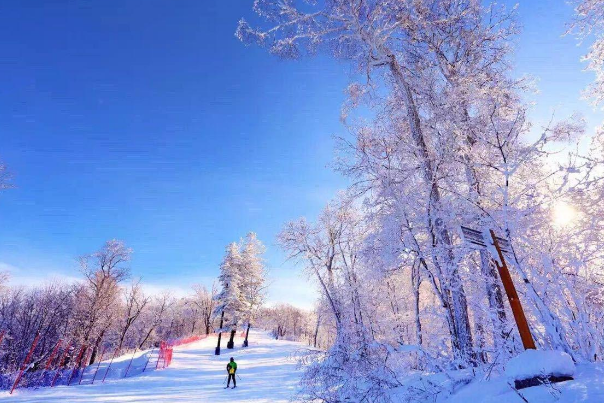 2021年冰雪旅游十佳城市排行榜：沈阳市上榜，东北着实强插图2