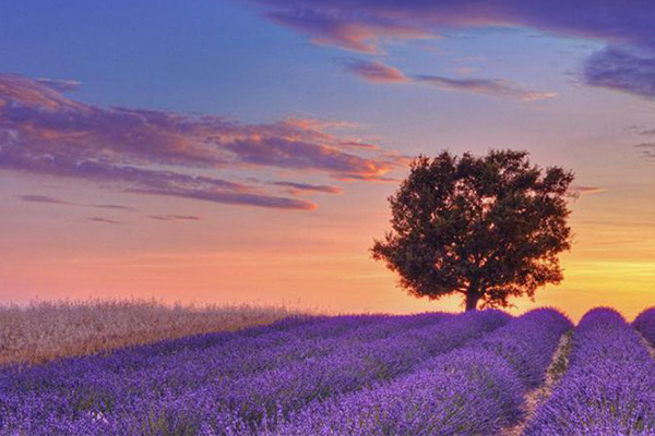 世界七大爱情圣地:盘点最适合结婚度假的七大绝美景点插图3