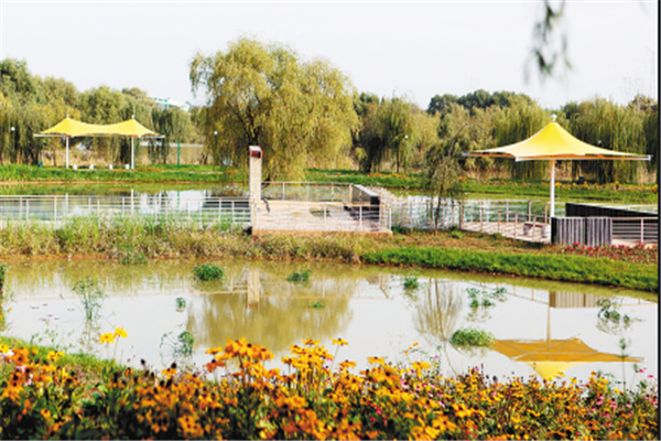 西安十大公园排行榜：钟鼓楼广场上榜，它占据第一插图2