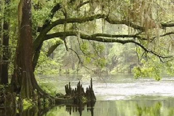 迈阿密的十大必去景点:迈阿密旅行攻略 这些景点决不能错过插图