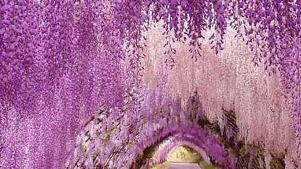 全球最美10个旅游胜地，人生必去的十大绝美景点推荐插图2