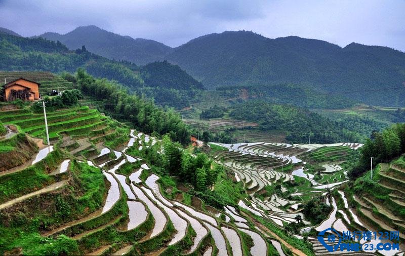 全球最美的十大梯田排行榜插图9