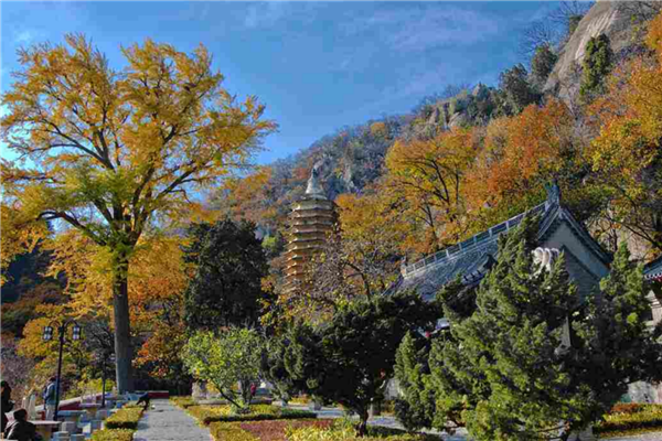 天津十大名胜古迹 五大道小洋楼第十 天津古文化街第一插图1