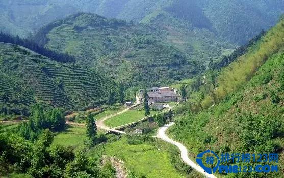 徽州十大古道 去徽州一定要去的古道插图4