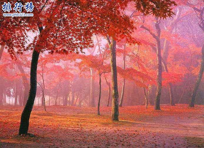 10月份适合去哪里旅游 十大10月旅游最佳去处插图4