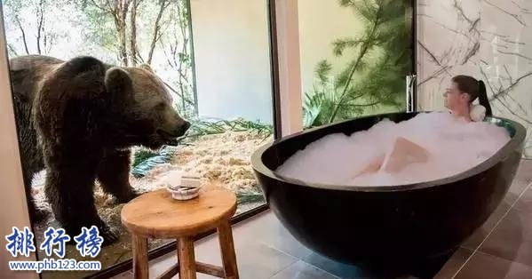 世界上最危险的酒店,狮子看你洗澡插图2