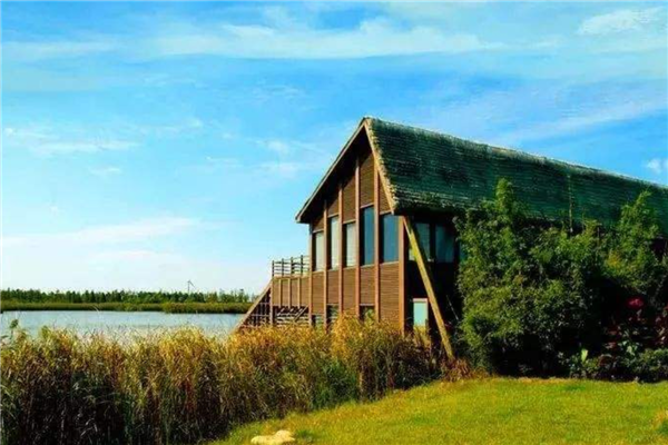 魔都6个人少景美的景点 枫泾古镇与淀山湖风景区均上榜插图2