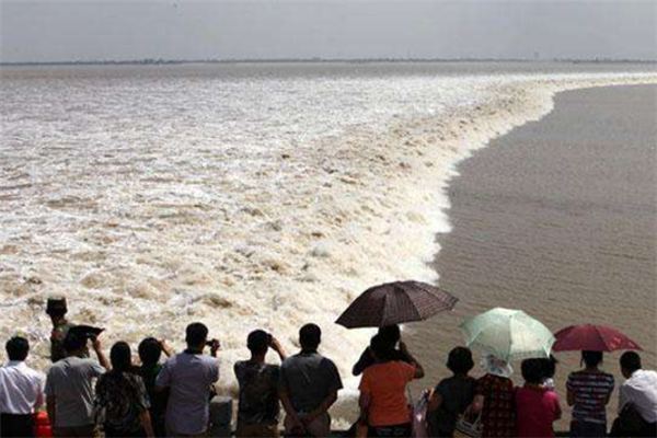 嘉兴十大风景名胜排行榜：回头潮上榜，钱塘江大潮是特色插图6