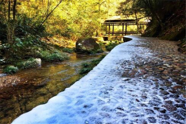 丽水最好玩的地方推荐 丽水好玩的地方排行榜插图9