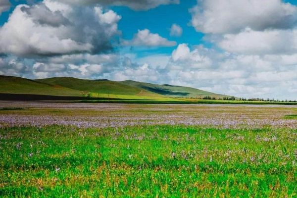 十大适合一个人散心的地方 这些地方可以一个人去游玩插图2