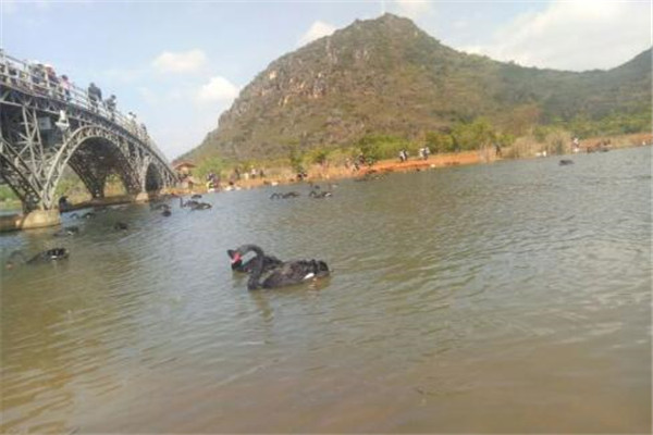 文山州最好玩的地方推荐 文山州好玩的地方排行榜插图4