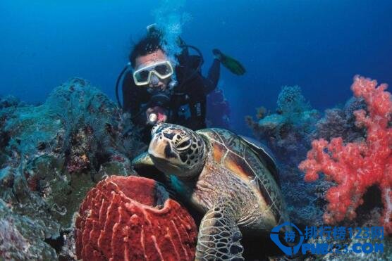 巴厘岛在哪个国家？巴厘岛在哪里？印度尼西亚的珍宝插图2