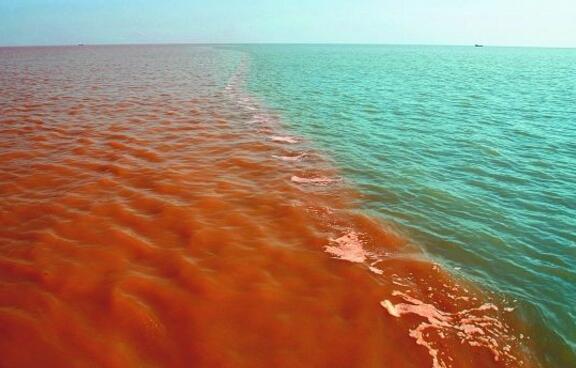 东营好玩的地方排行榜 东营十大最好玩的地方推荐插图