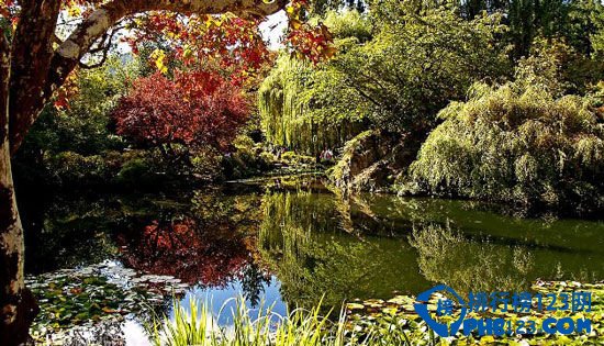 盘点全球最梦幻的10大童话花园插图1