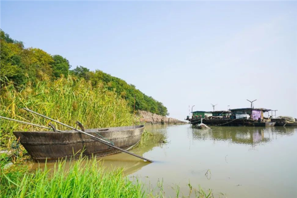 合肥十大风景名胜排行榜：姥山岛景区上榜，它的历史悠久插图2