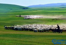 国内十大梦幻草原排行榜|爱分享